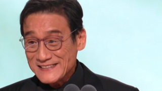 一级黄免费